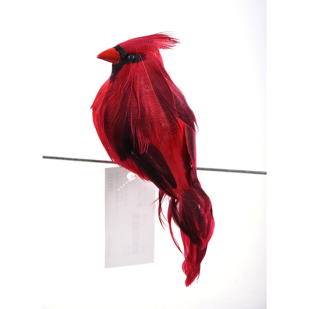 Cardenal con Clip 9"