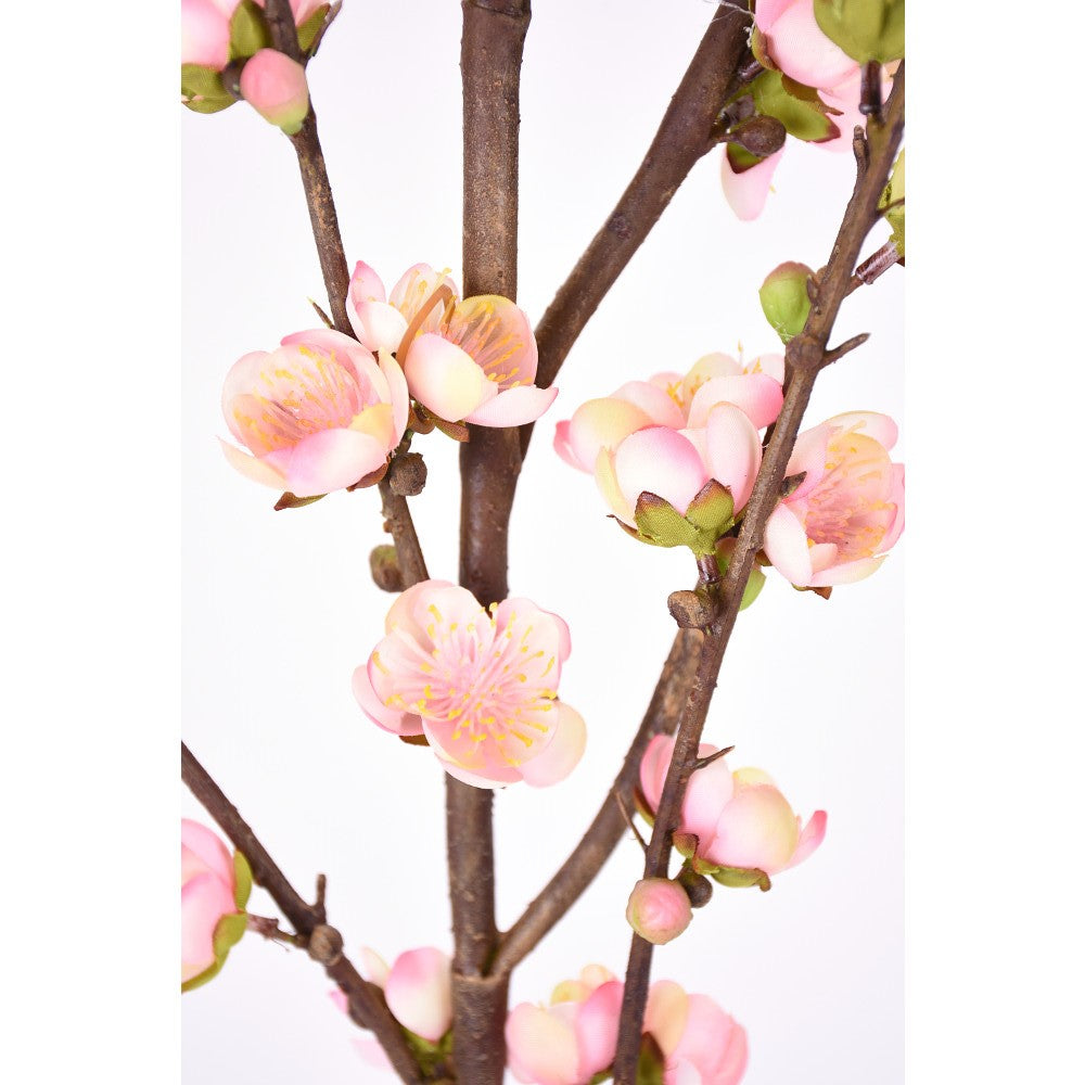 Rama de Membrillo Rosa 51"