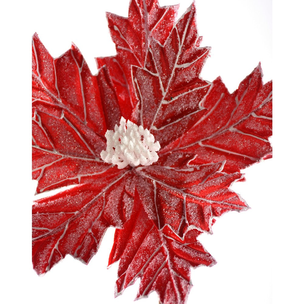 Nochebuena Nevada Roja 13"