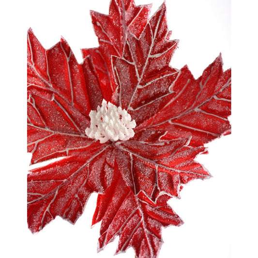 Nochebuena Nevada Roja 13"