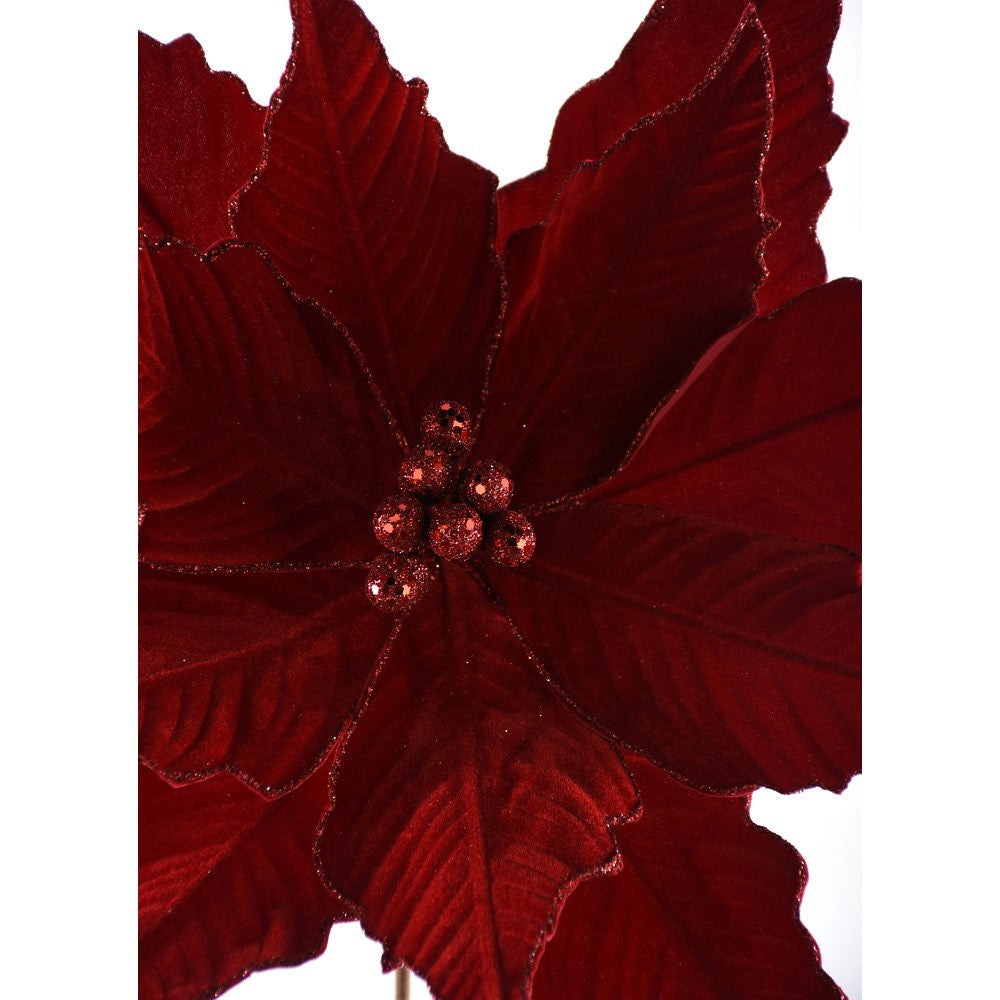 Nochebuena Roja 22"