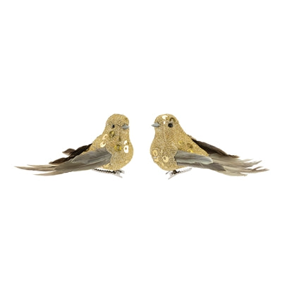Pajaro Clip