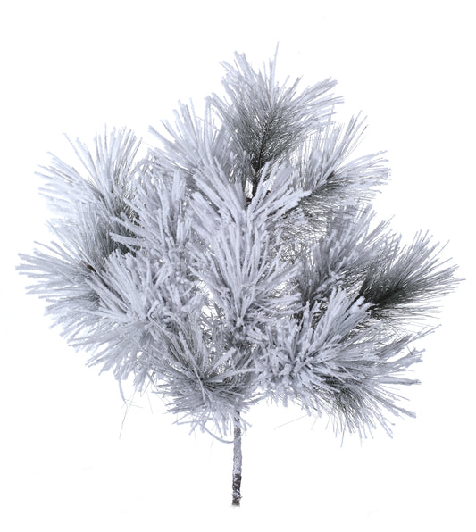 Rama Pino Aguja Nevada