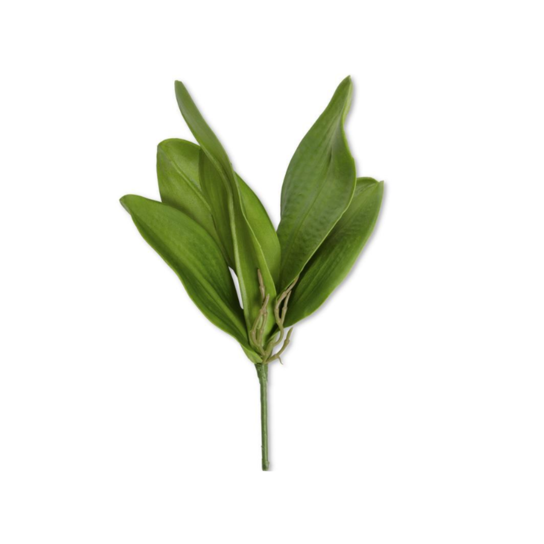 Hojas de Orquídea 13"