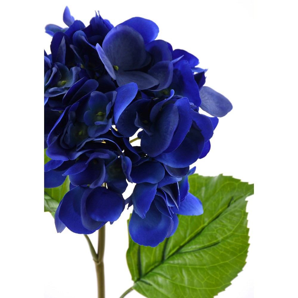 Hortensia Azul Fresh Touch