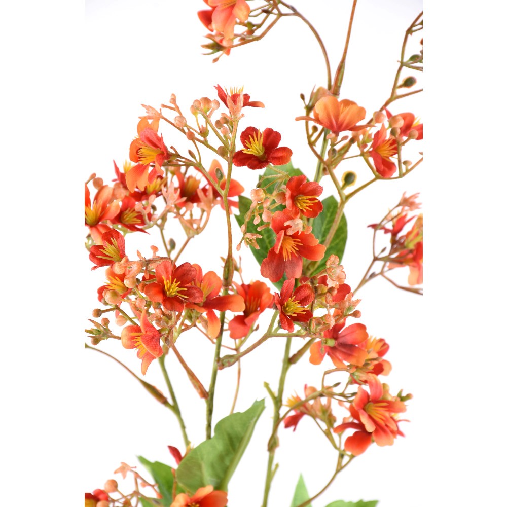 Flor en brote Naranja