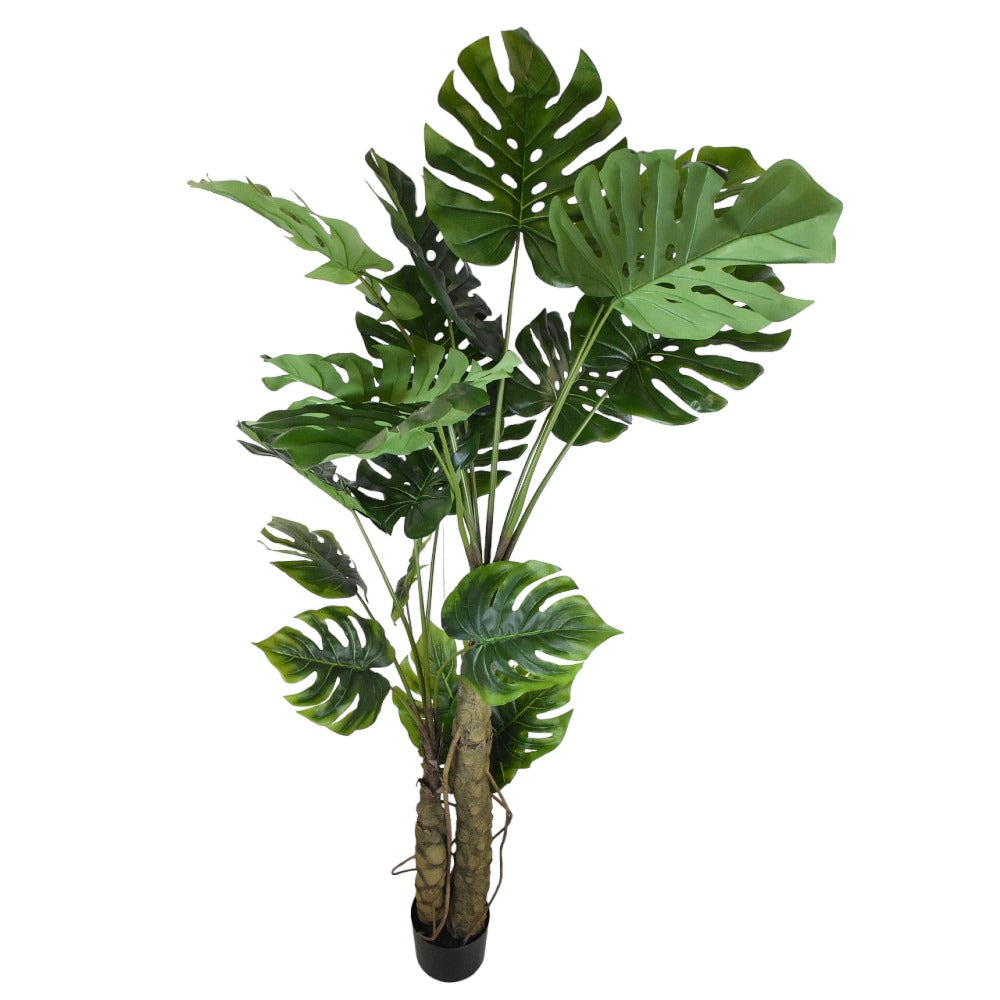Árbol Split Philo