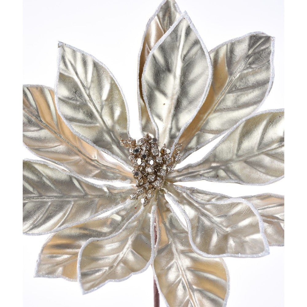 Nochebuena Metálica Champ