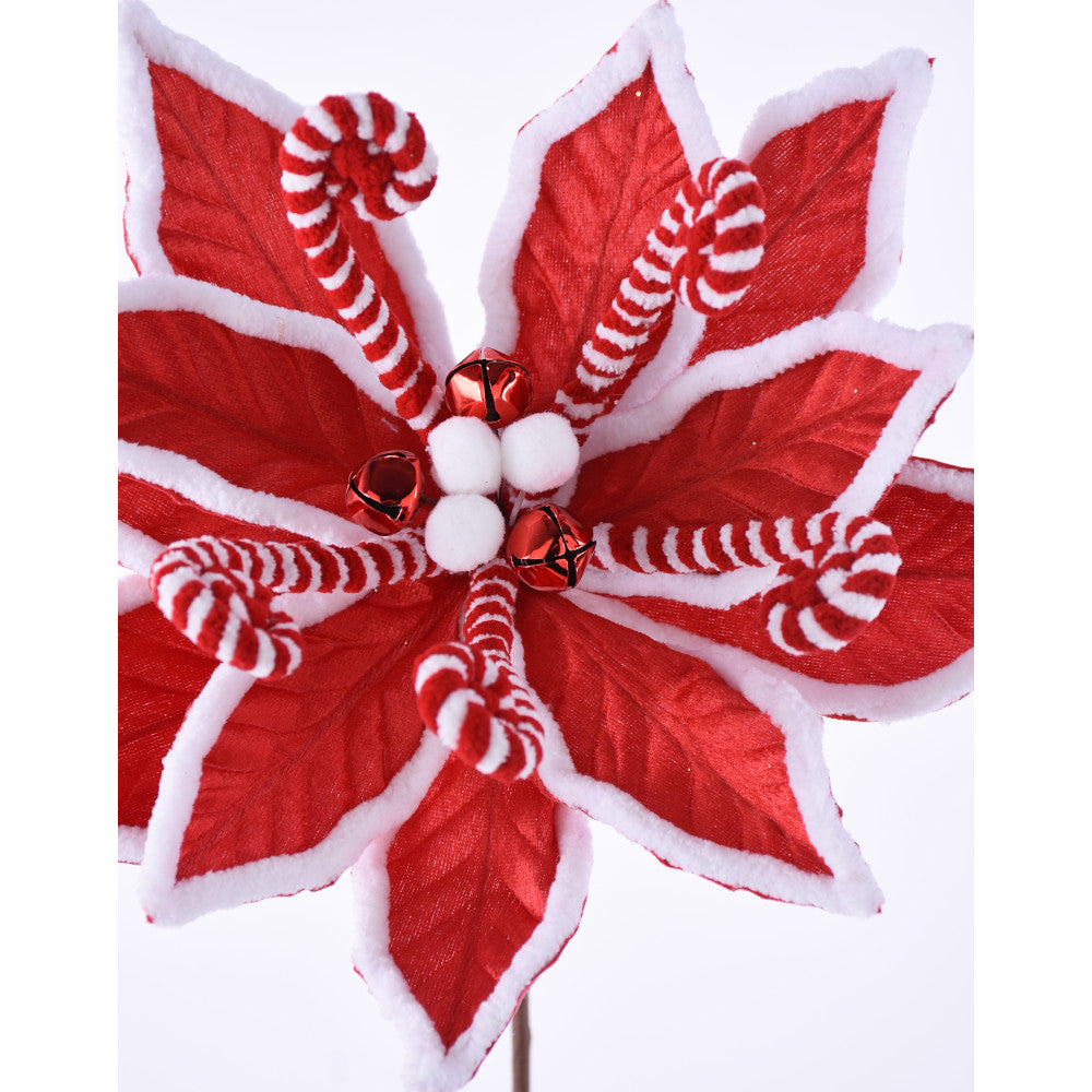 Nochebuena Mentas 22"