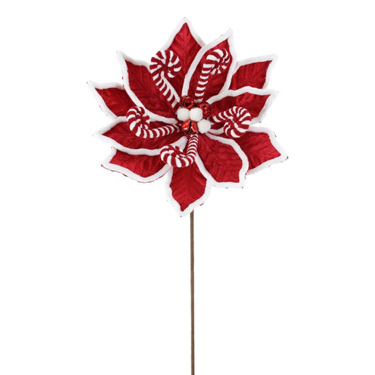 Nochebuena Mentas 22"