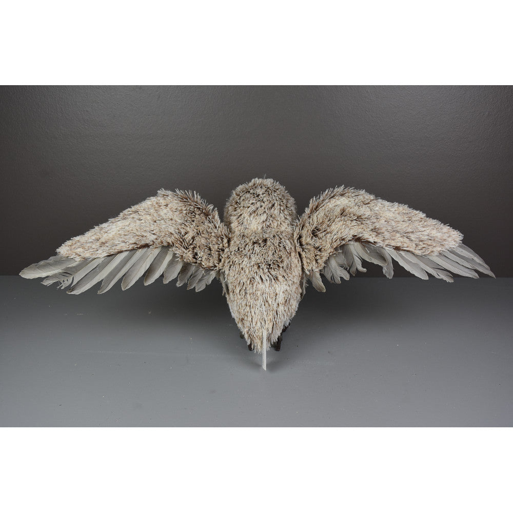 Búho Volando 9"x17"