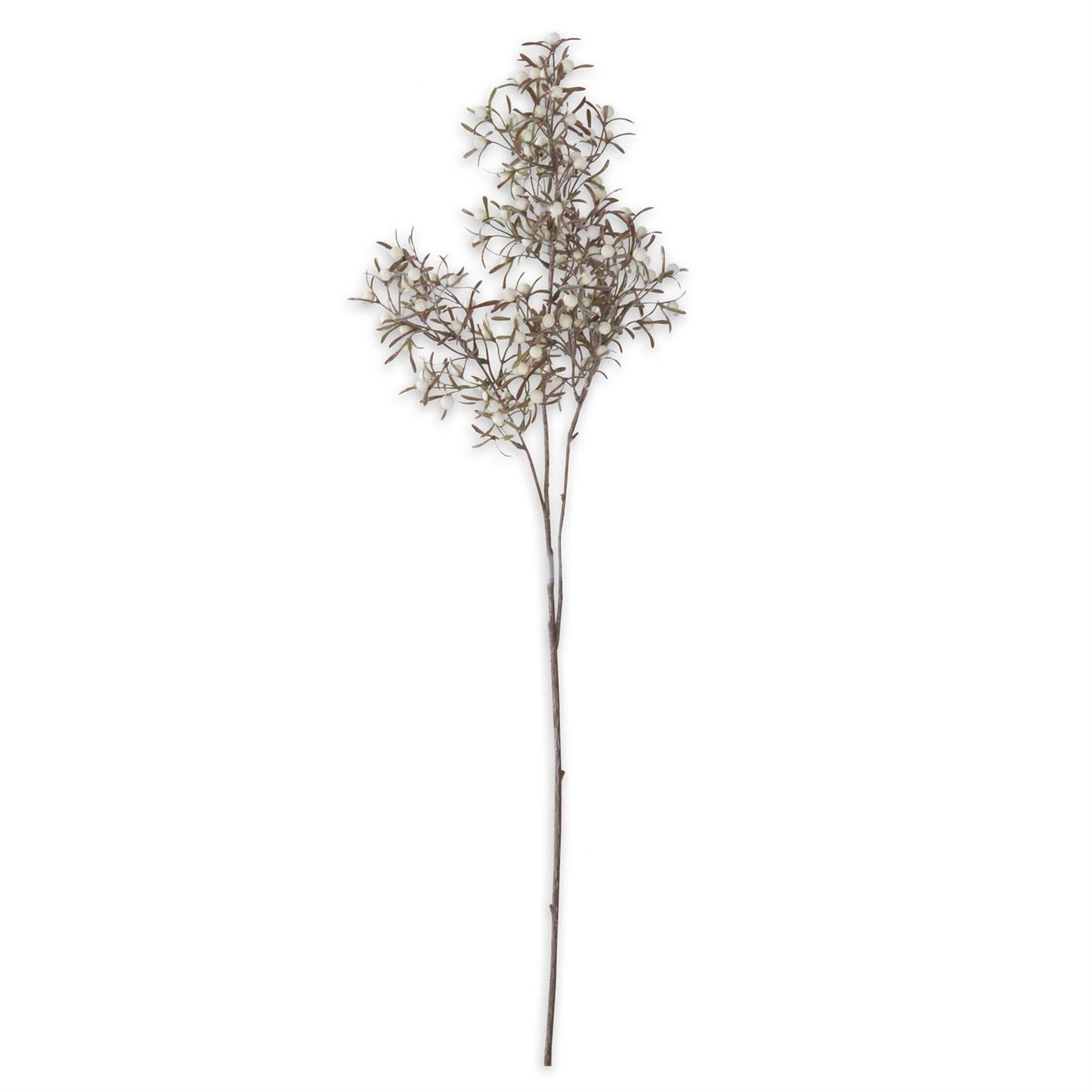 Rama Berry Blanca 33"
