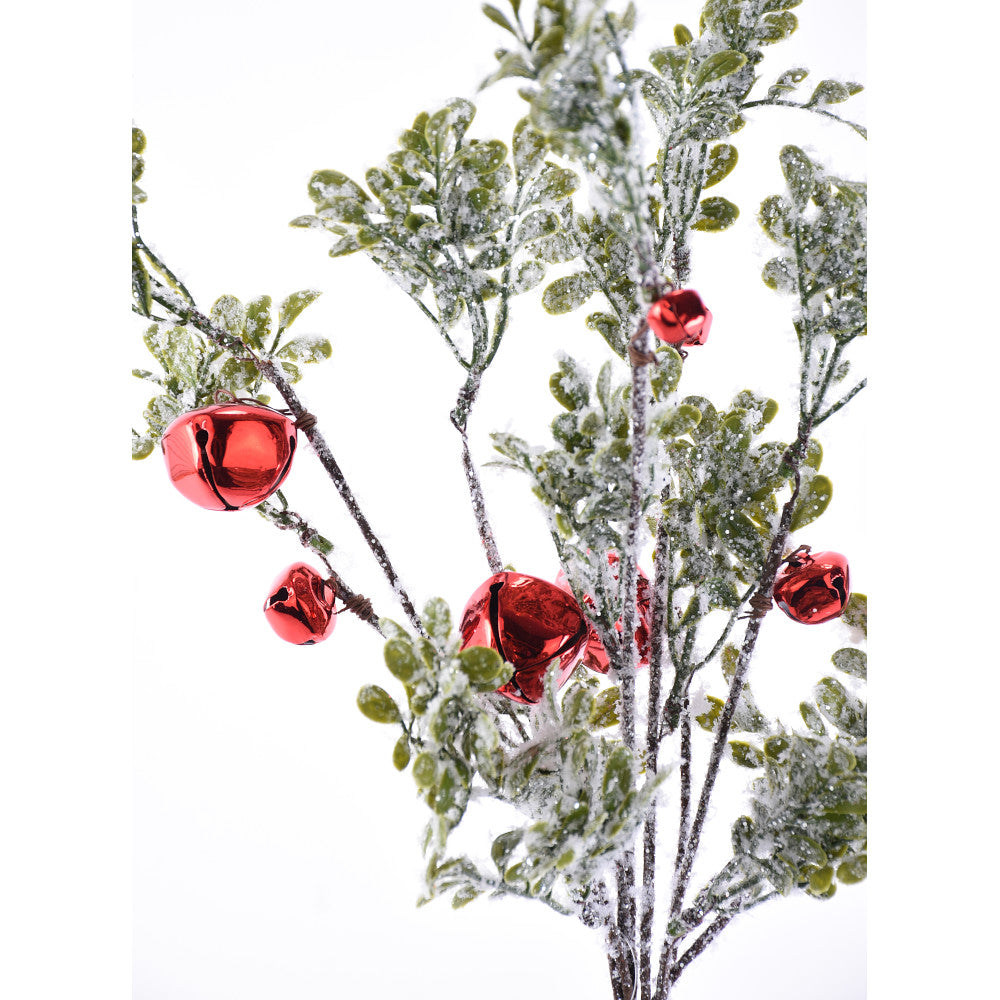 Rama Pino c/ Cascabel Rojo