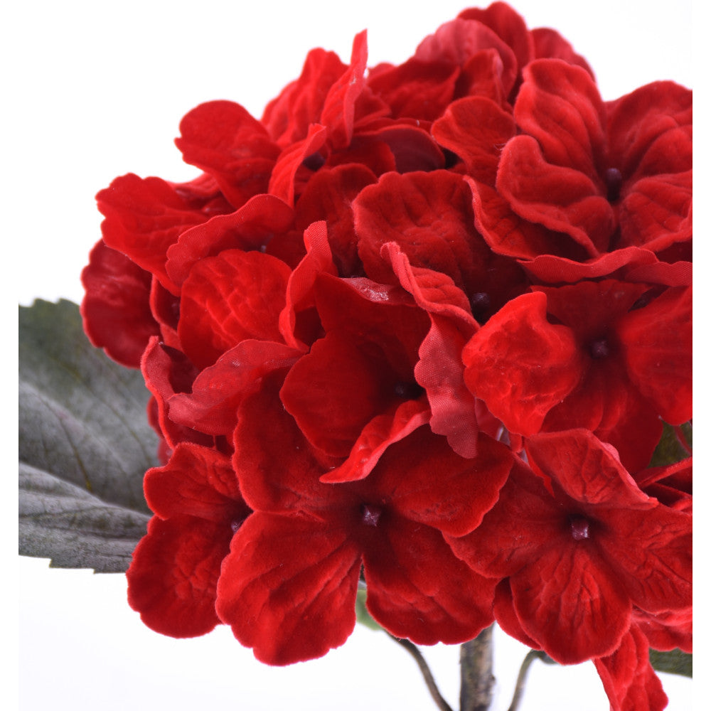 Pick Hortensia Roja