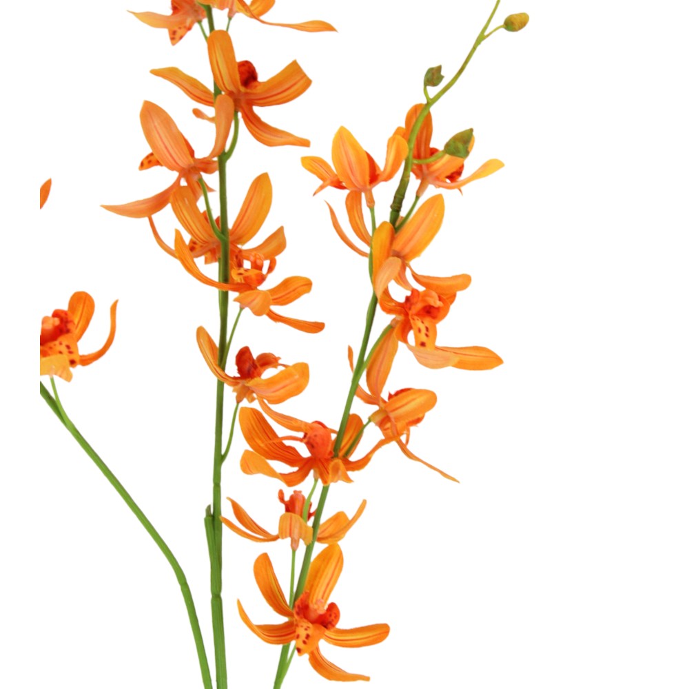 Orquidea Naranja China