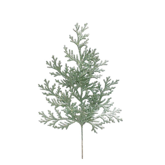 Rama Pino Cedro 21"
