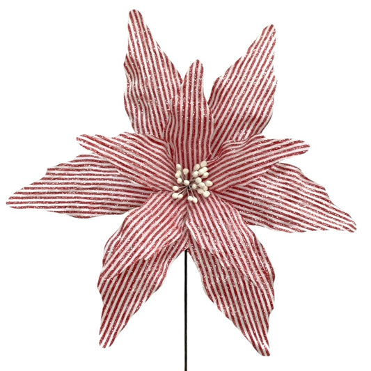 Rama Líneas Rojo/Blanco 20"