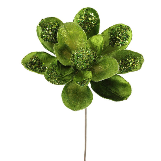 Magnolia Verde Limón