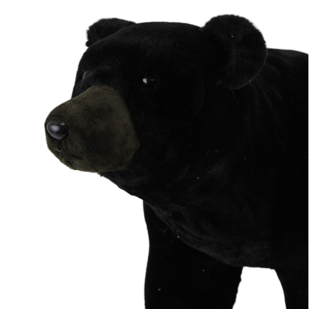 Oso Negro 4 patas