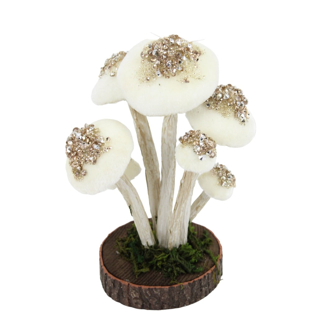 Colgante Hongos Natural