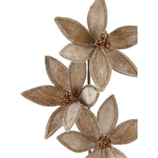 Nochebuena Dorada X3 23"