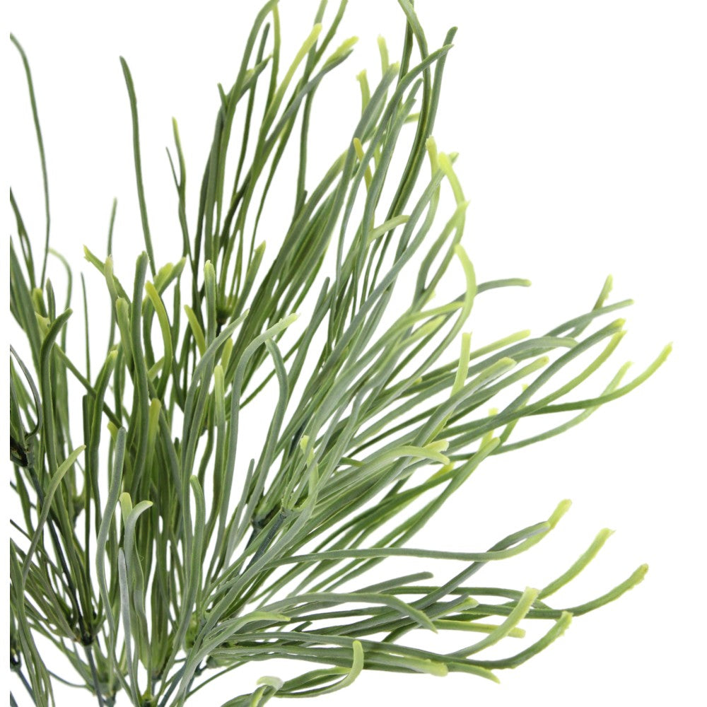 Arbusto de Pasto 20"