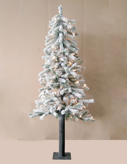 Pino Nevado Alpine 4'