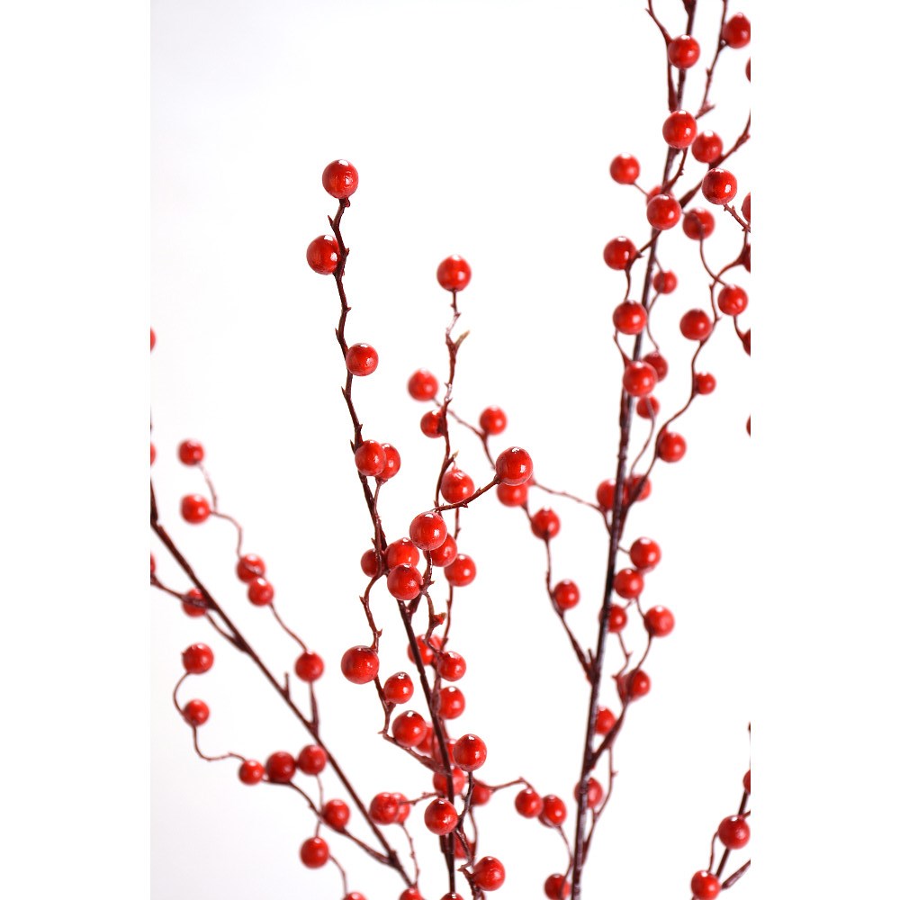 Rama Berry Ligera 37"