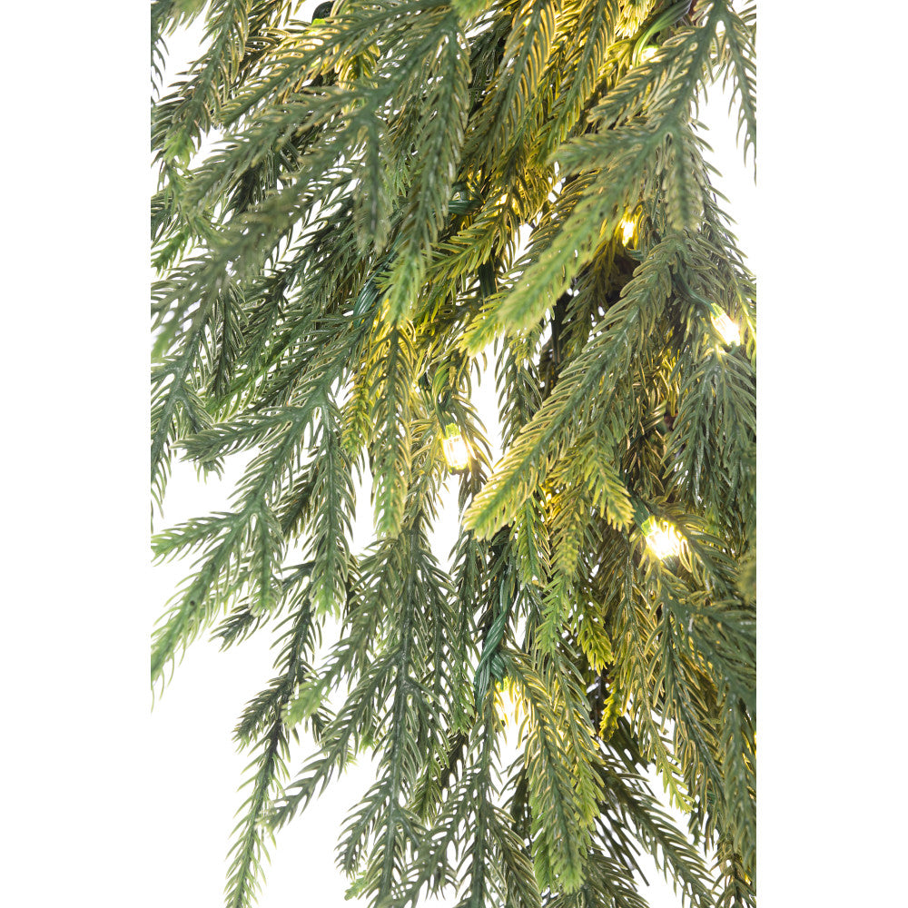 Guirnalda Norfolk 6' x 20" con luz