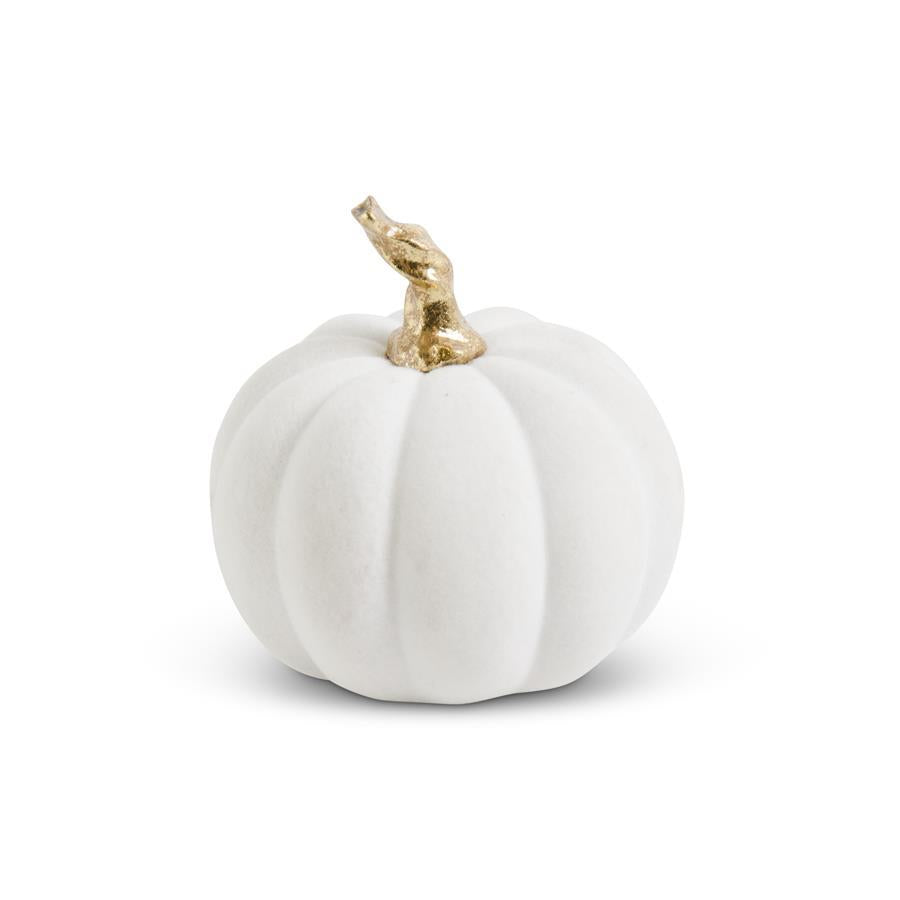 Calabaza Terciopelo Blanca