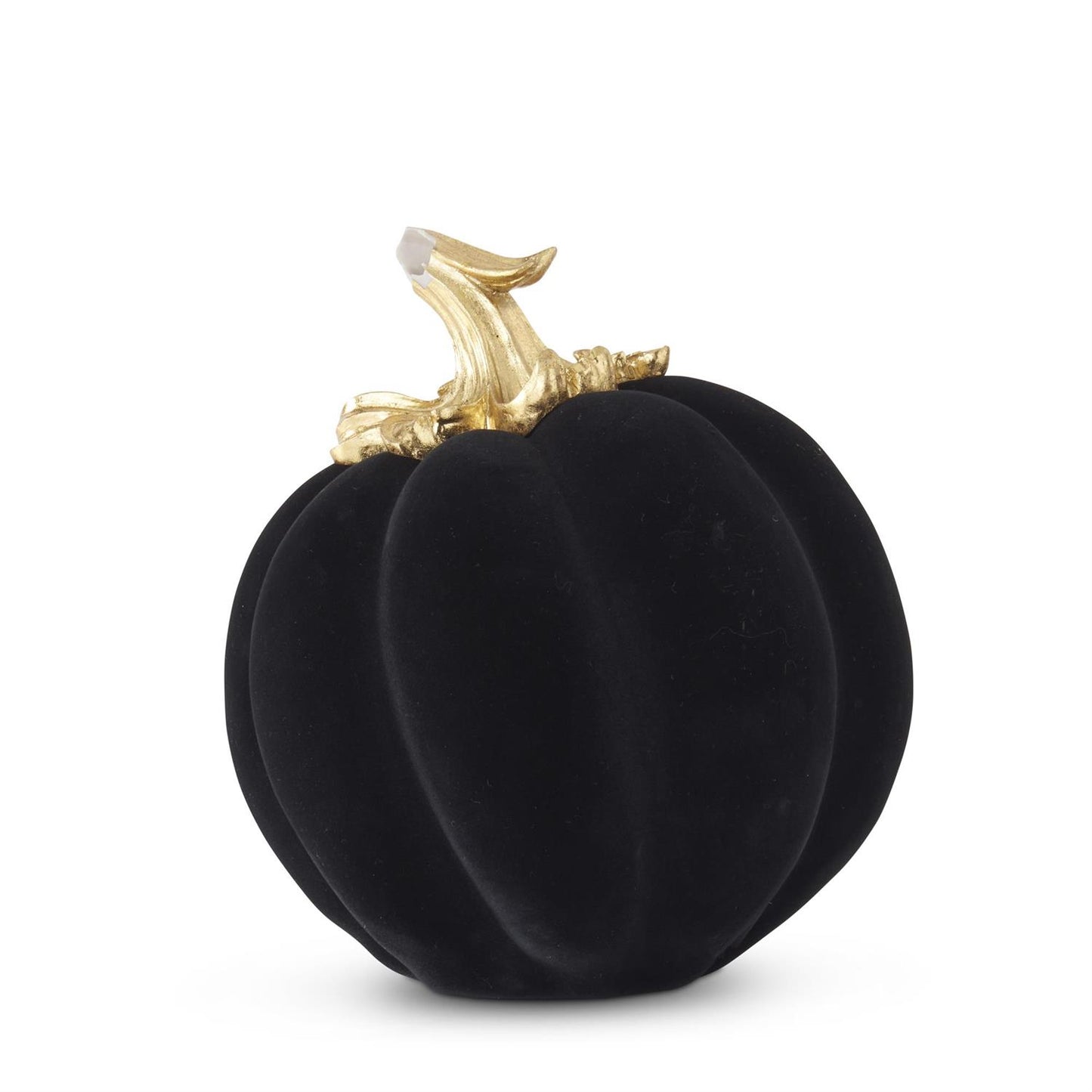 Calabaza Terciopelo Negra 12"
