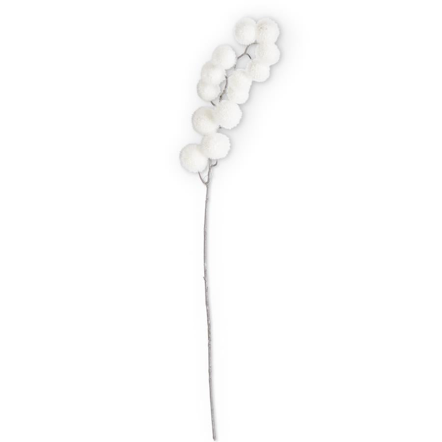 Rama Pompom