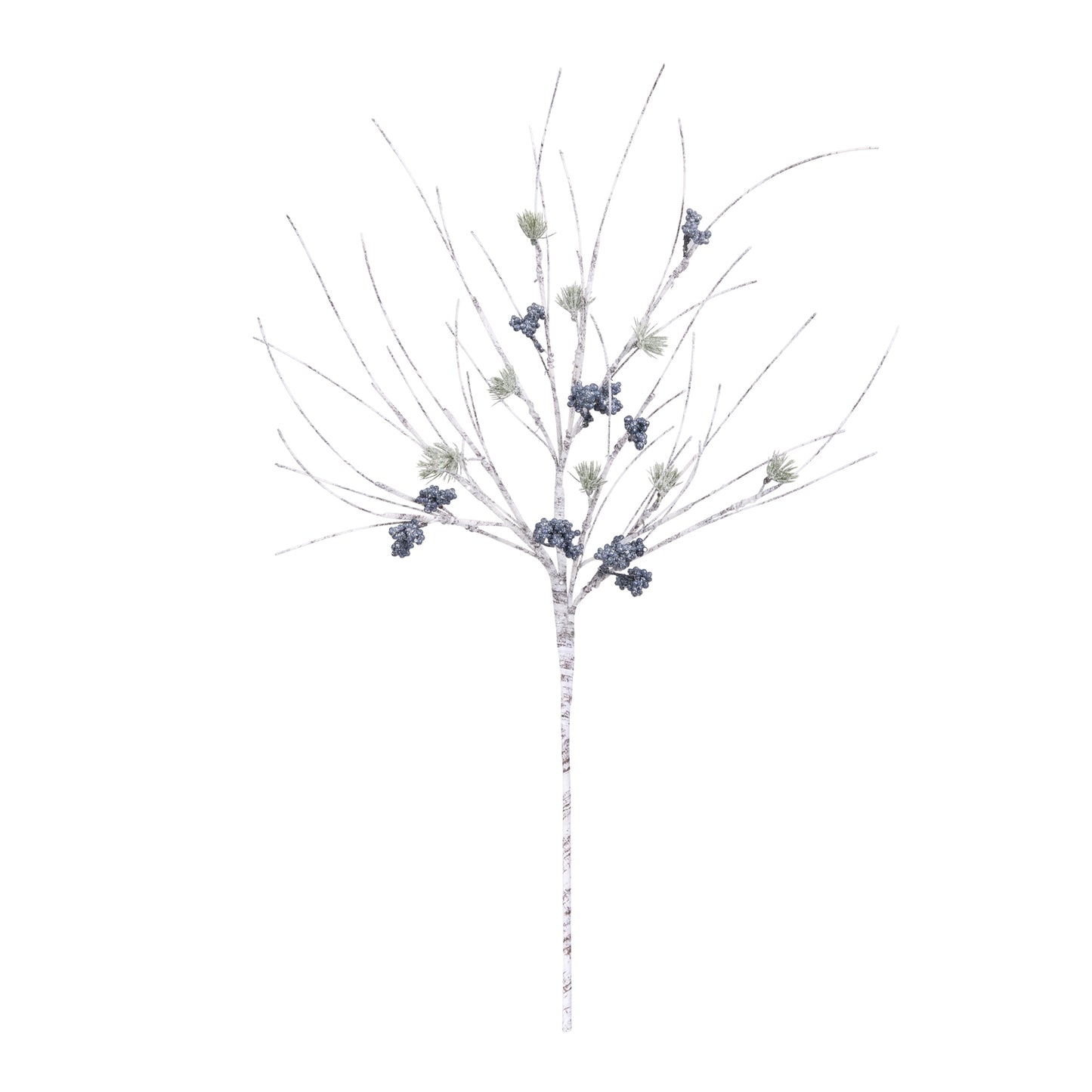 Rama Birch & Pine 30"