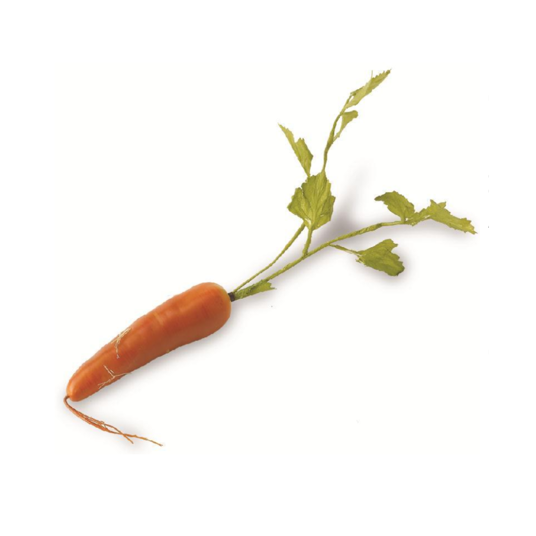 Zanahoria 17"