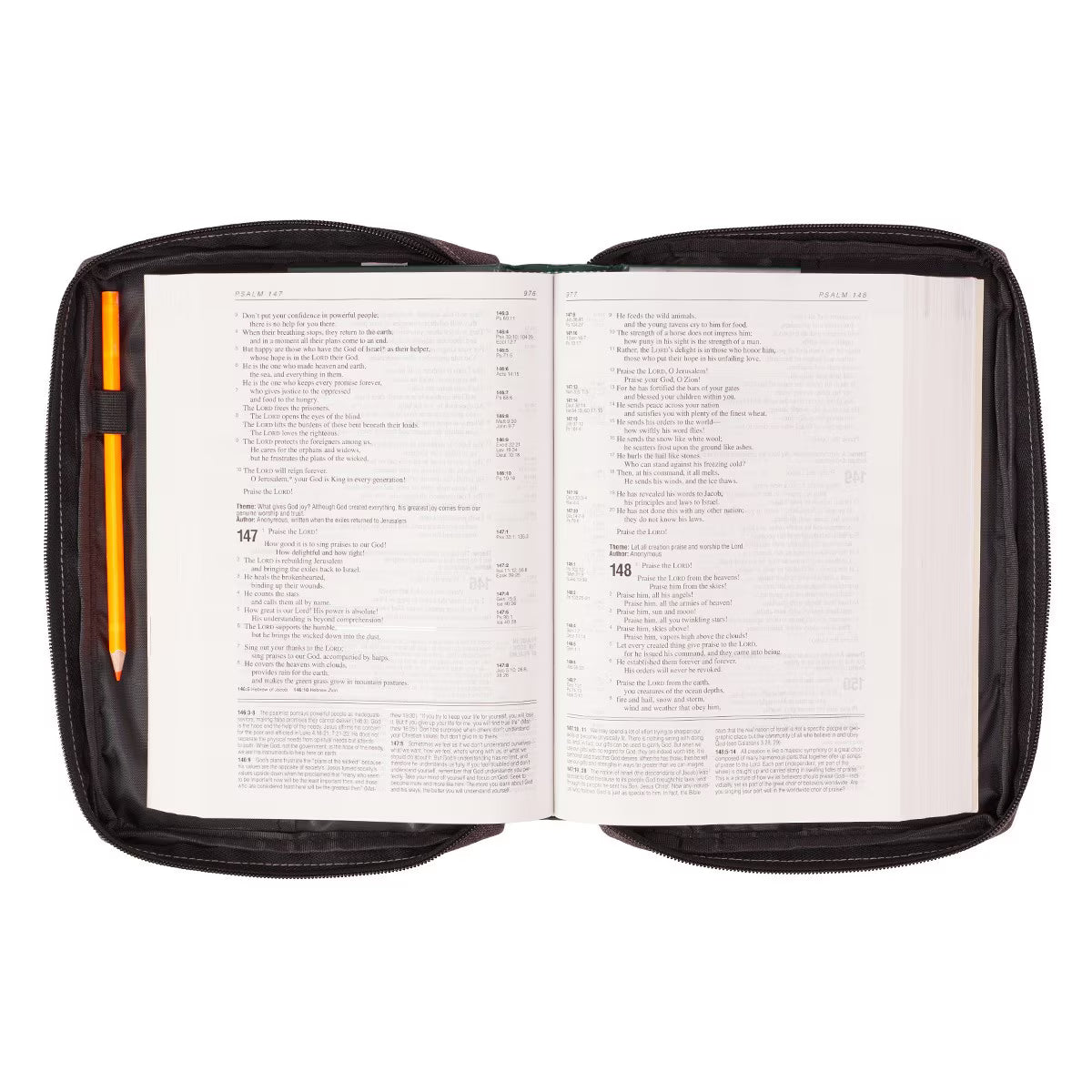 Funda para Biblia Gris