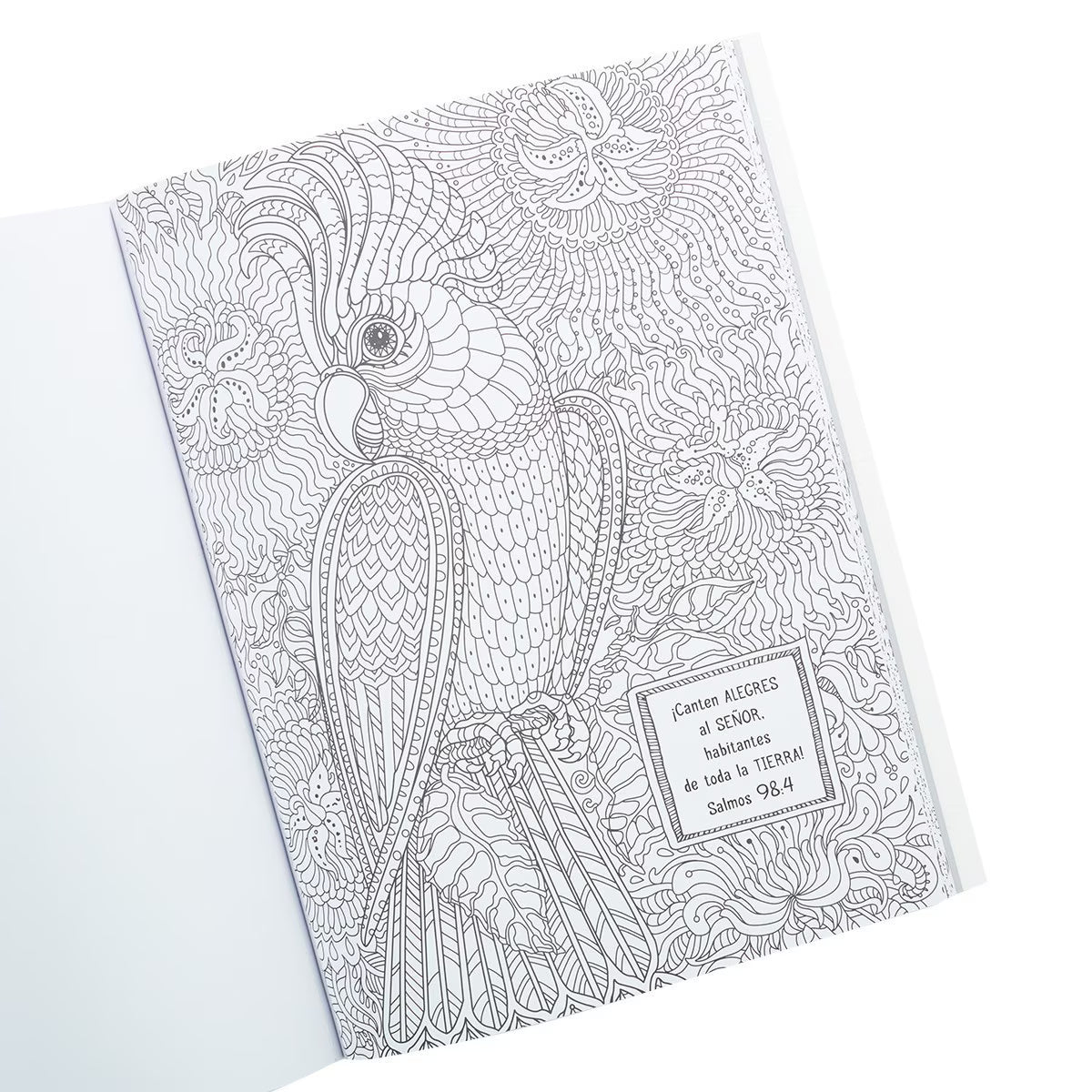 Libro para Colorear: Salmos en color
