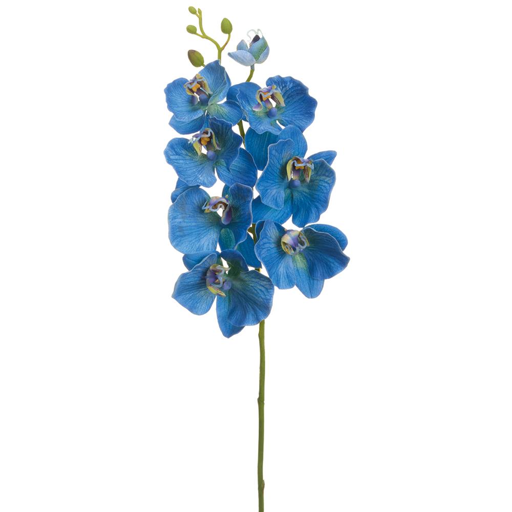 Orquídea Mariposa Azul 30"