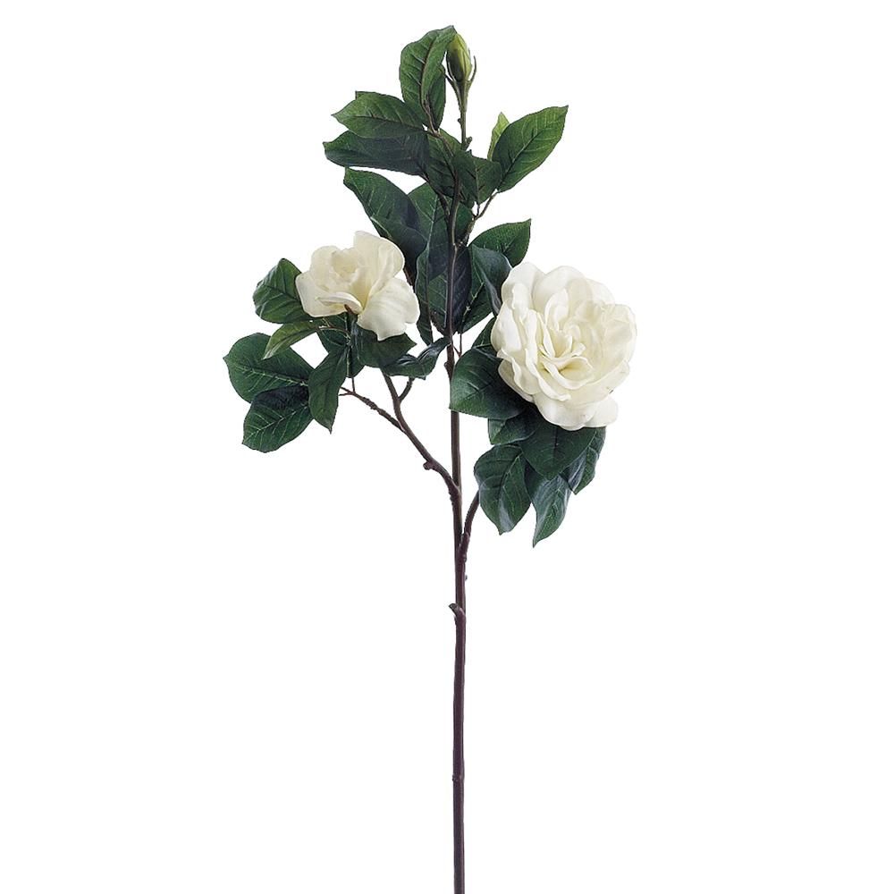 Rama Gardenia 31"