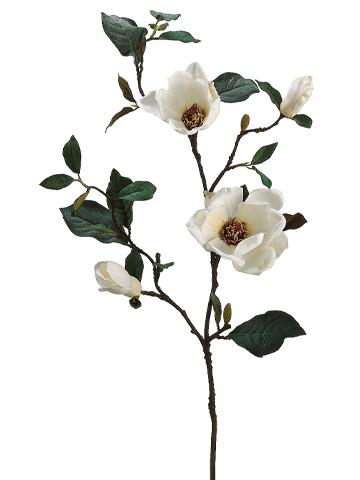 Magnolia X2 35"