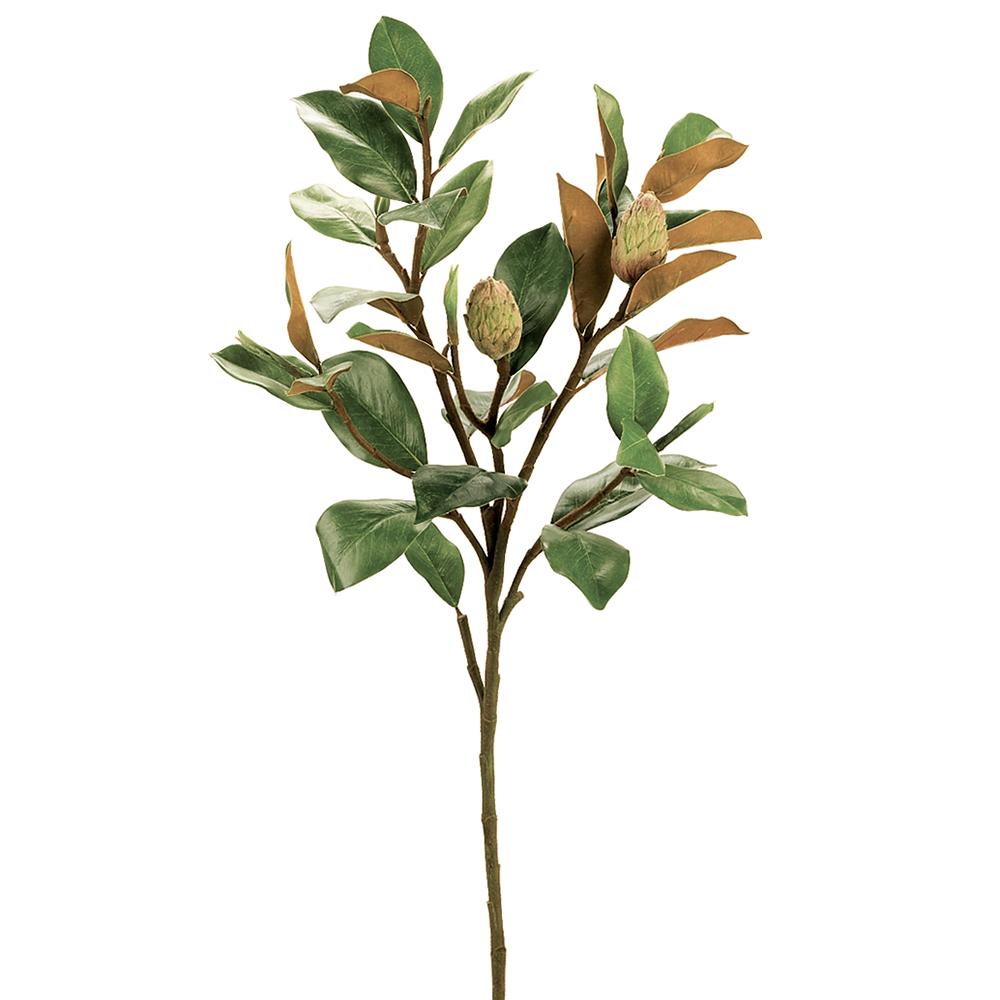 Tronco con Hojas/capullos Magnolia 37"