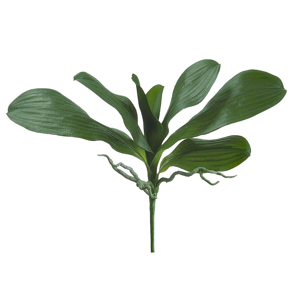 Hojas Orquídea 16"