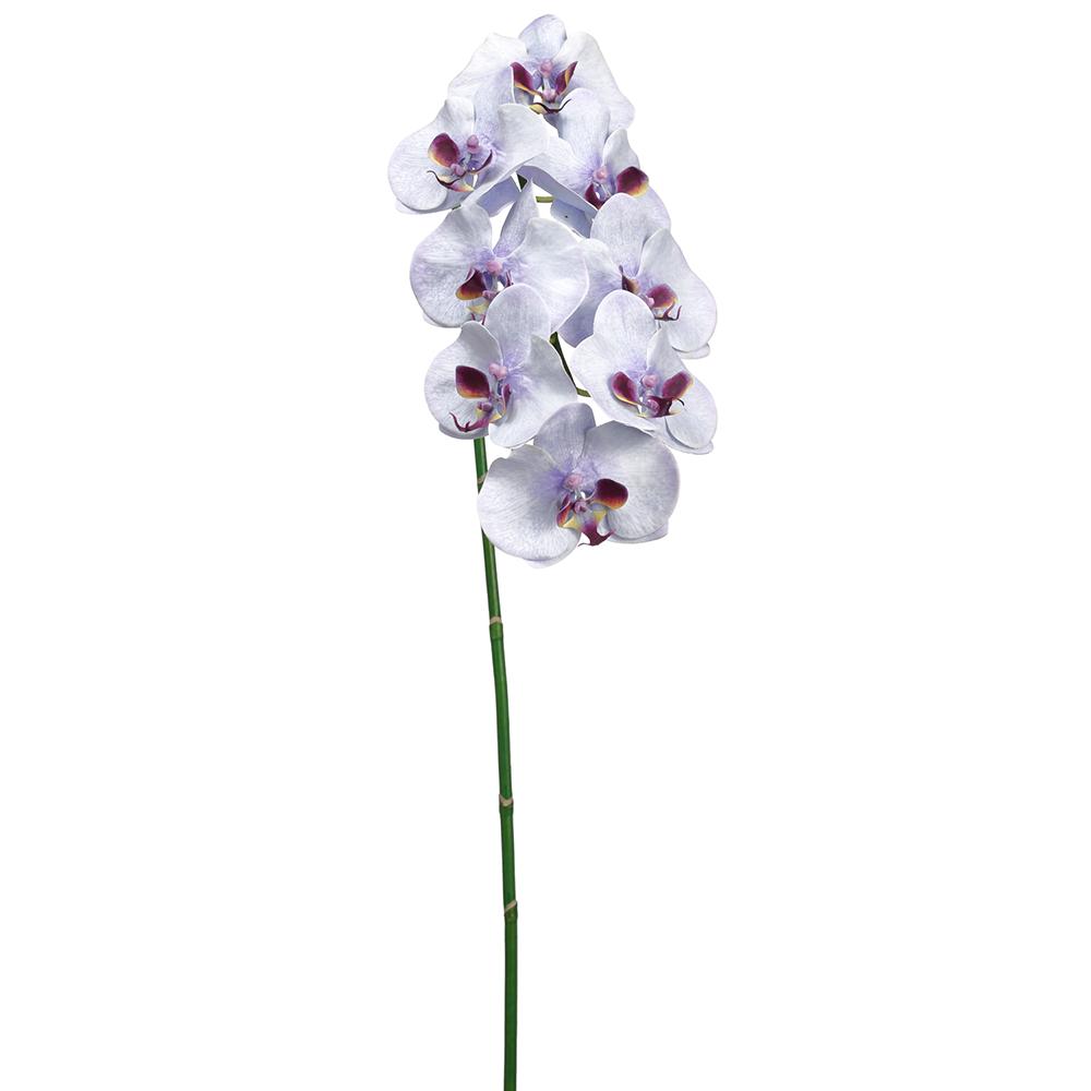 Orquídea Mariposa Blanco/Lila 40"