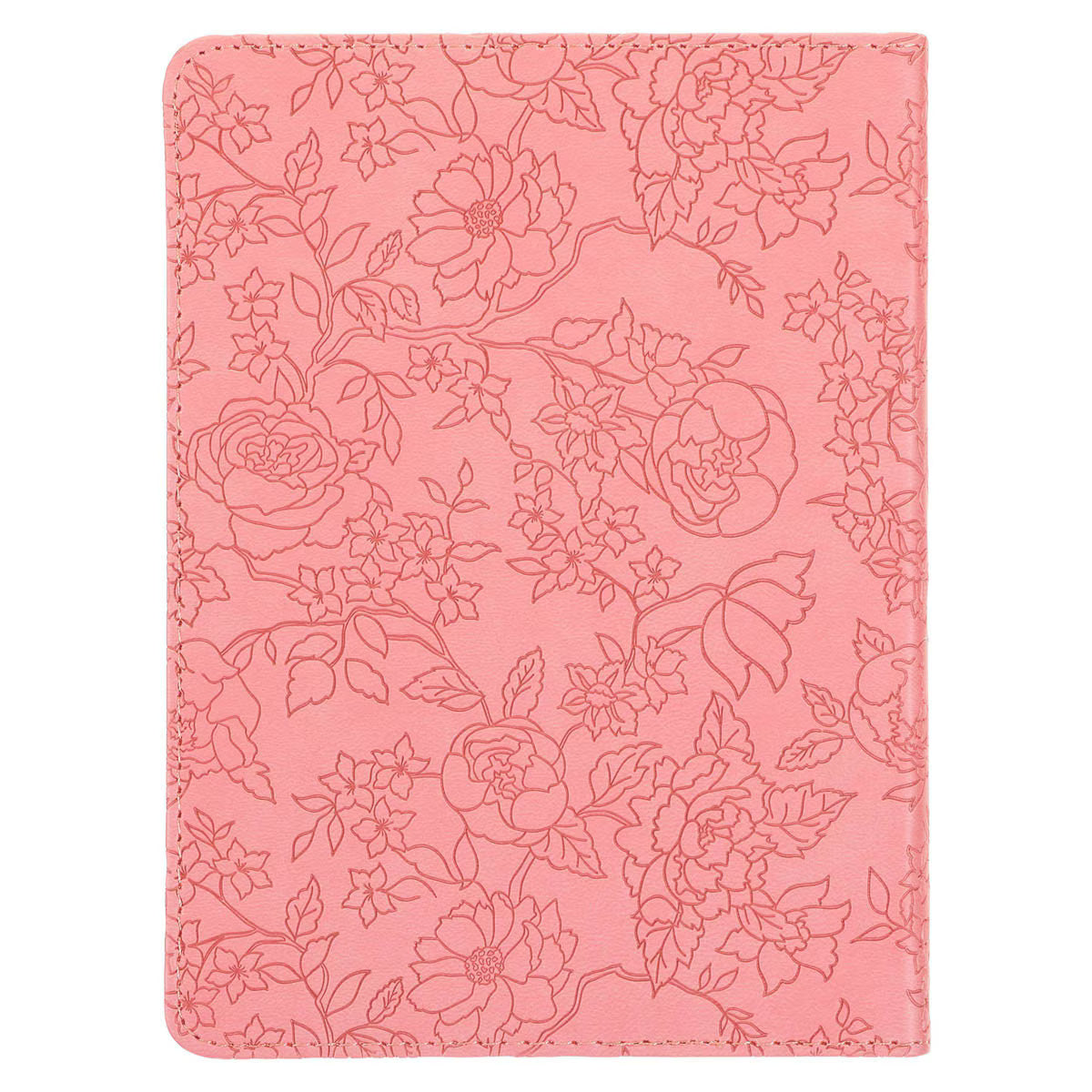 Journal "More Precious than Rubies"