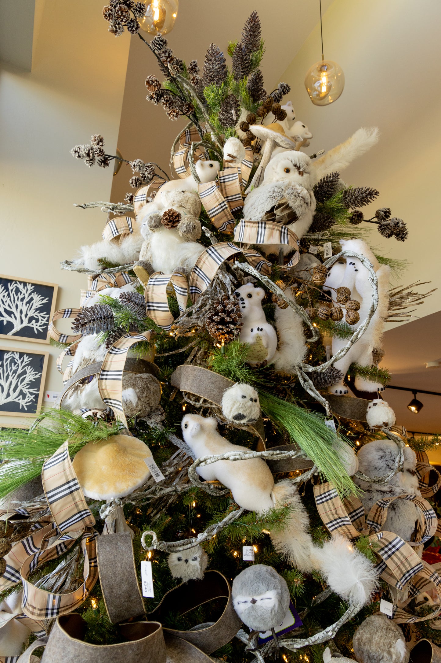 Ardilla con Bebé 17"