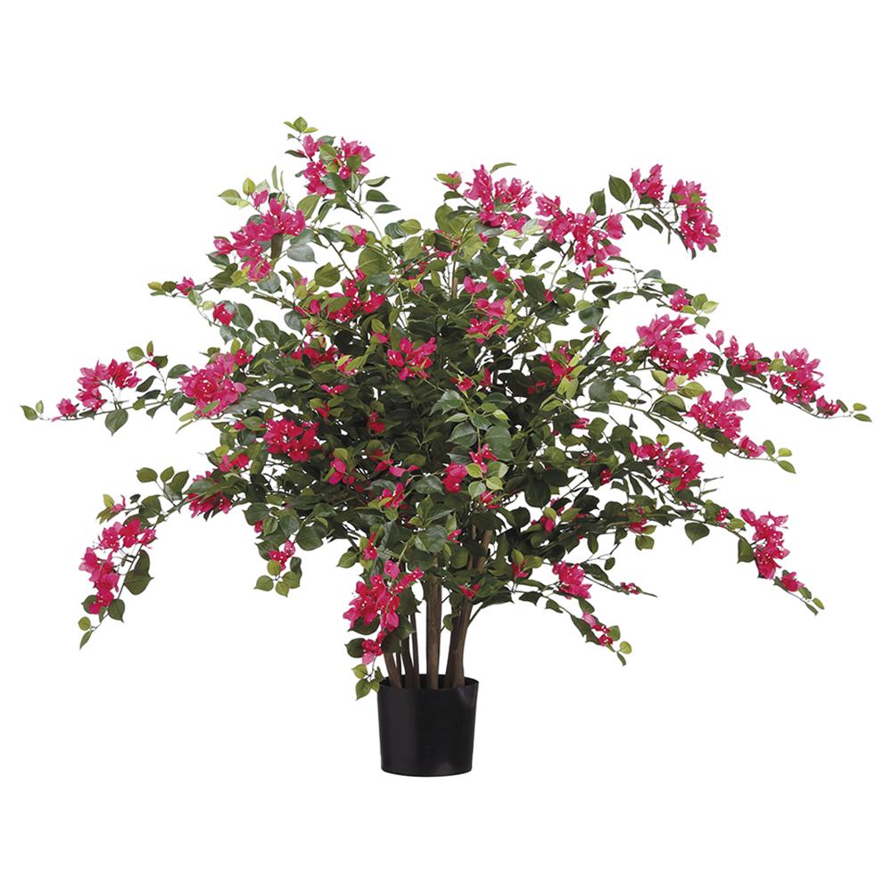 Bugambilea en Maceta 39"