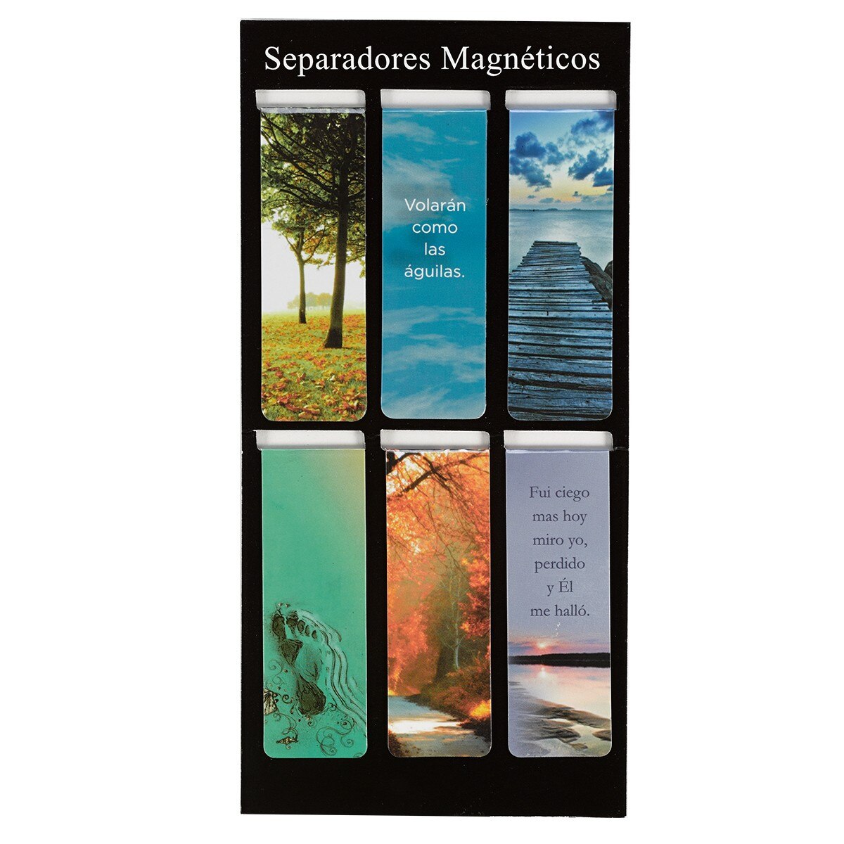 Separadores Magnéticos de Libro