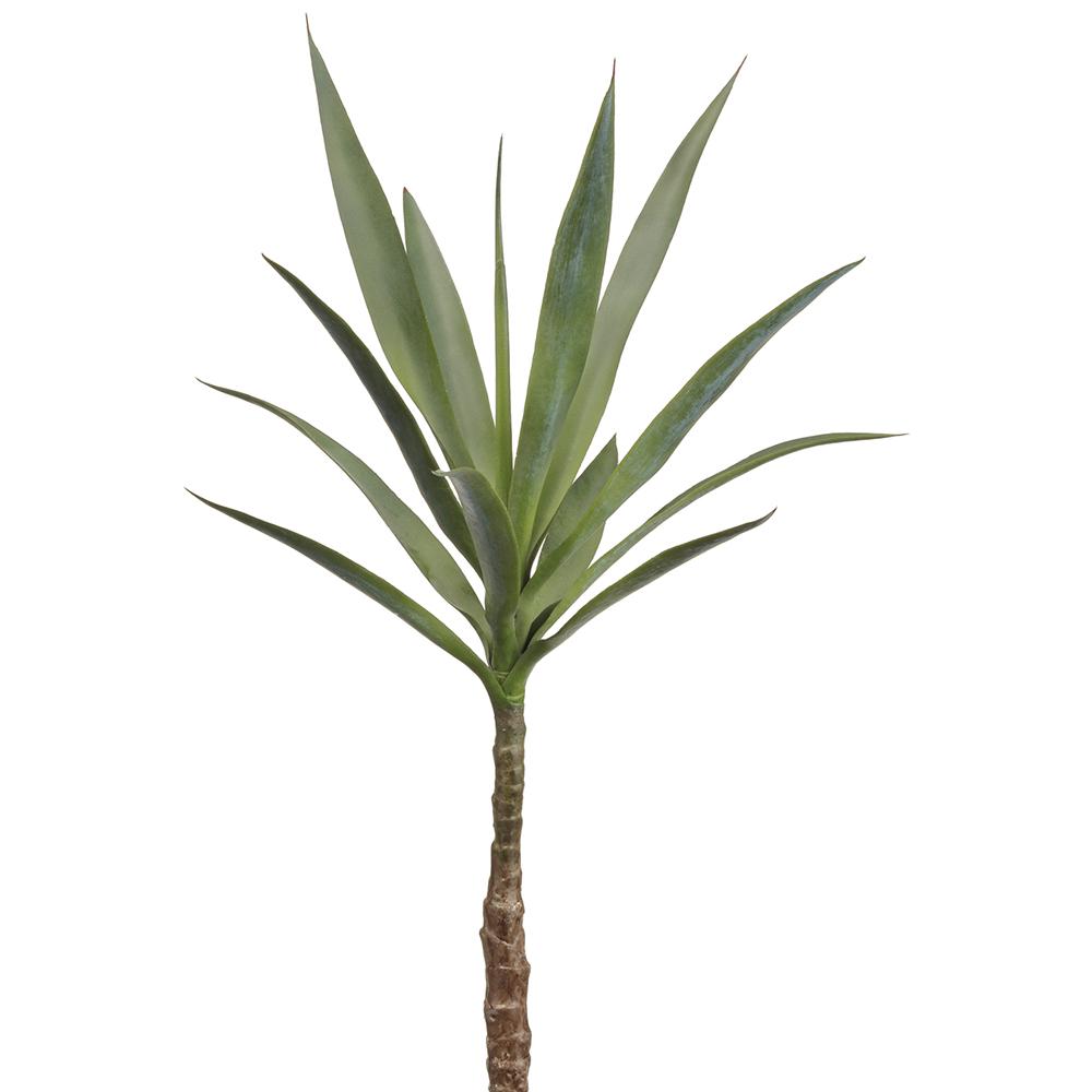 Yucca 33"