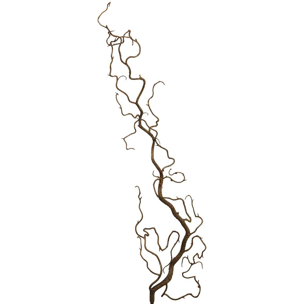 Tronco Curly Willow 37"