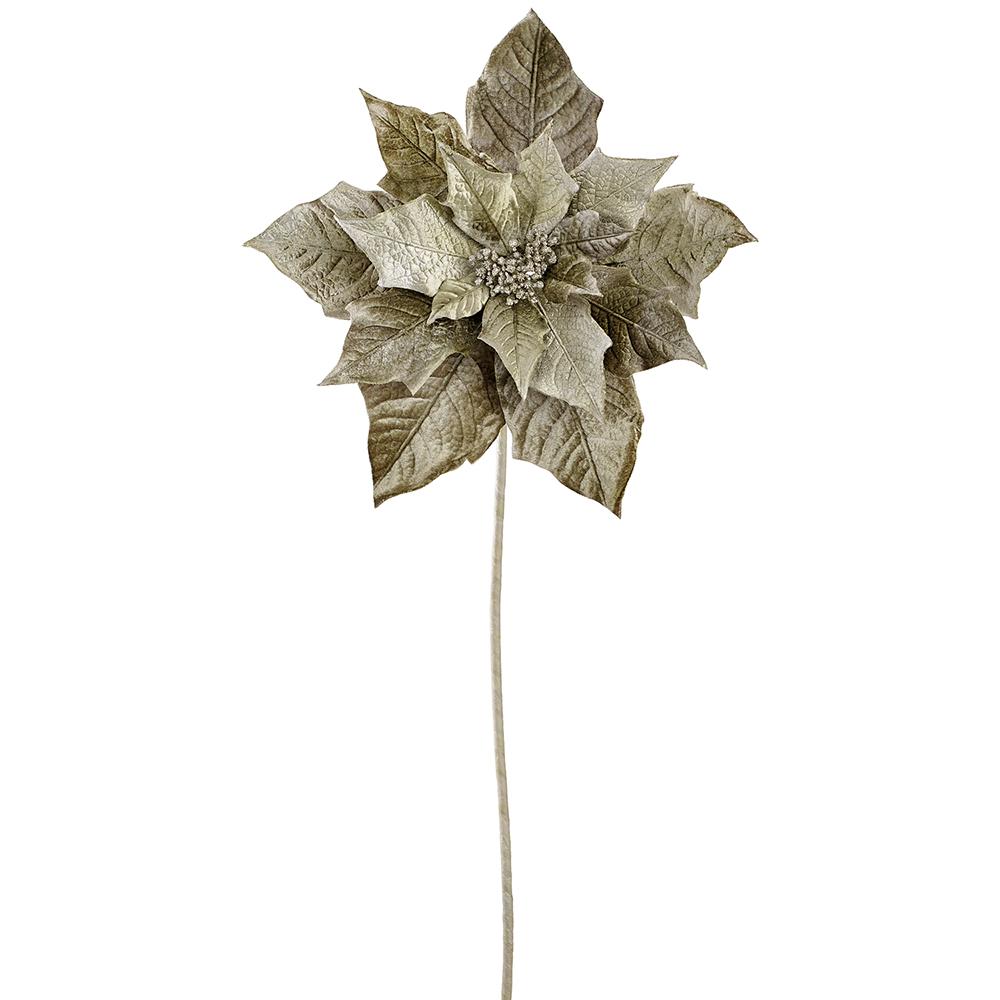 Nochebuena Terciopelo Verde