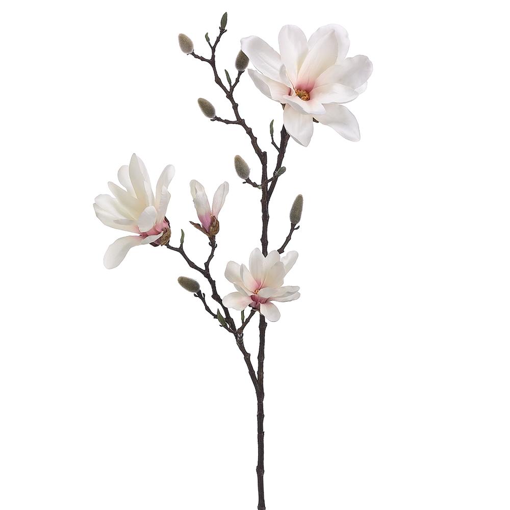 Magnolia 41"